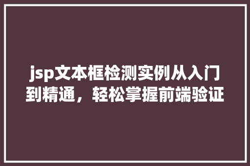 jsp文本框检测实例从入门到精通，轻松掌握前端验证方法